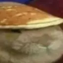 all_igor