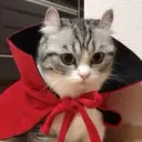 georgiy_1337