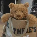 bearyeah