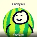 kotashotik