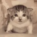 justRescue