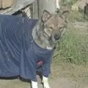 sasha175368113