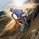 Serges29_inactive893142