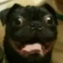 KirillPontiflex