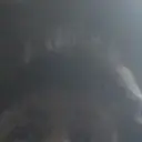 tronzi1