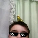 cHiiLaUtErr