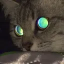 lolskriees