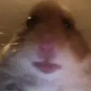 Dhdhdhdhdjd