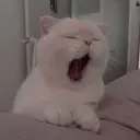 мяь