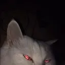 WeaknessBlood
