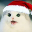 OIIOCCYMDEV
