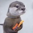 ChopiFX