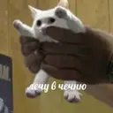 ffdfdsdfsfdsfsd