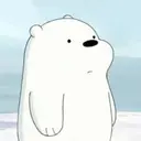 icebearisgod