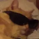 SergeyaDragon