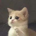 4356654345678