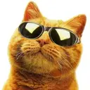 Lolz profile picture for @Breakfast
