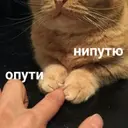 Winst0n