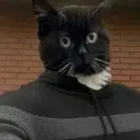 NAROMYRO