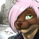 OtterSpace_x3