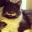 САША46984698465