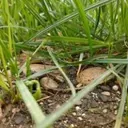 Ssssstt_inactive2782323