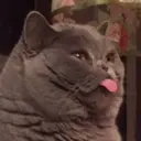 GoodLolMister