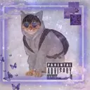 Aleksander_1337