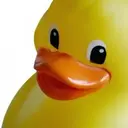 topdima76