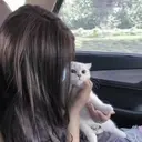 RRWQ