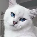 chillaftergame