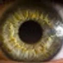K0C01