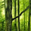 Dafara_inactive2979830