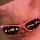 id580993022