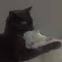 hobahtuk