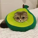 CAHEK_YT