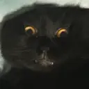 arturcat1