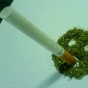 СТАФЧИК