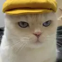 mojnojit