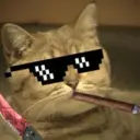 guxser