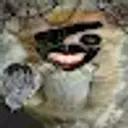 Sonyadyra20