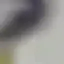 gllerk