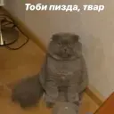 Maks82