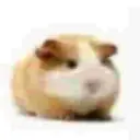 dengerivann