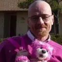 picasoexebit