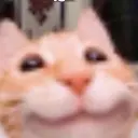 sema__gg