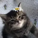asdjghksd