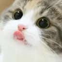 4upikk