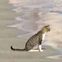 gjgflmbyf