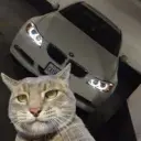 TGE